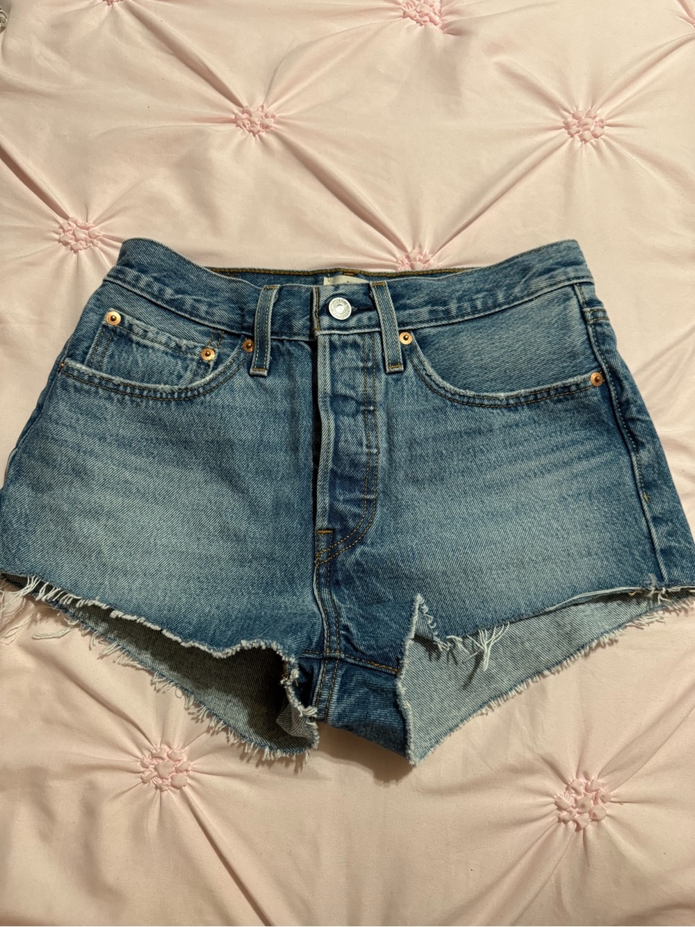 Classic Blue Denim Cutoff Shorts - Women